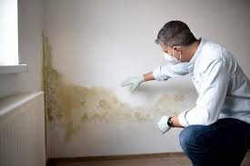 Best Mold Documentation for Insurance Claims  in Emigsville, PA